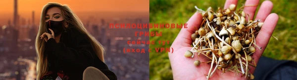 трава Беломорск