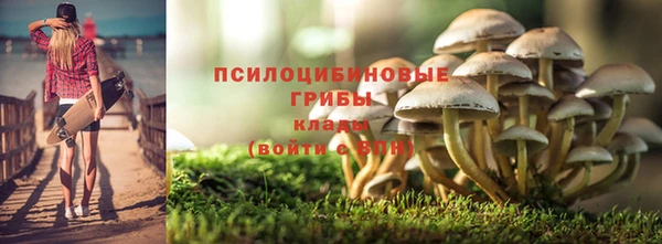 таблы Белокуриха