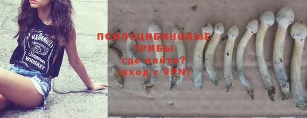 трава Беломорск