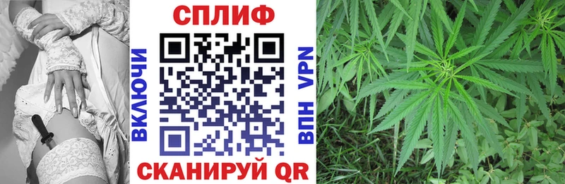как найти   Няндома  Шишки марихуана марихуана 